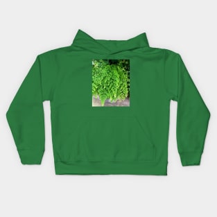 Green Maidenhair Fern For Gardeners Nature Lovers Kids Hoodie